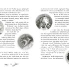 Seite 56. Enthält Textpassagen einer Geschichte mit Illustrationen eines Buches, eines Fuchses, eines Mädchens und eines Kindes.