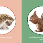Links: "der Igel", "Pieks! Der Igel hat spitze Stacheln." Rechts: "das Eichhörnchen", "Das Eichhörnchen knabbert kleine Kerne. Lecker!"