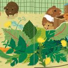 Das Bild zeigt eine Illustration mit Meerschweinchen, Karotten, Erbsen und grünem Blattgemüse in einem Gehege mit Holzhaus.