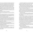 Seitenzahlen: 10 und 11. Romantext beschreibt einen Flug, Ankunft in Miami, Emotionen und Interaktionen mit Marcus Kozel.