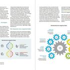 Links viel Text über Strategien der Langlebigkeit mit sieben farbigen Kreisen rechts: Glück, Schlaf, Kontakte, Stress.