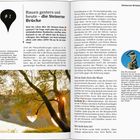 Titel: "Bauen gestern und heute – die Steinere Brücke". Text über Herausforderungen im 12. Jh. und Brückenerneuerung. Links unten Baum im Sonnenlicht. Rechts Skulptur im blauen Kreis.