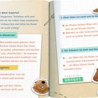 Fragen und Antworten über Biber sowie Illustrationen von Bibern und einem Biber-Jungen in bunten Notizbuchseiten-Designs.