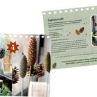 "Zapfenwald" mit Anleitung für stehende Zapfen. Bild eines Fensters mit Zapfen auf Holzsockeln und Kerzen daneben.