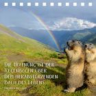 „Die Hoffnung ist der Regenbogen über dem herabstürzenden Bach des Lebens.“ Zwei Murmeltiere vor einem Regenbogen in den Bergen.
