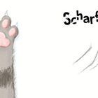 Text: "Scharfe Tatze". Eine Illustration einer erhobenen Pfote mit Krallen, links von Kratzspuren.