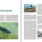 Seite 10: "DAS MYSTISCHE WESEN." Ein großer Wels schwimmt im Wasser.  
Seite 11: "Heute ist der Waller (fast) entmystifiziert." Ein Mann hält einen Fisch.