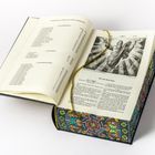 Ein Buch zeigt "Verzeichnis der Bücher des Alten Testaments" und "Das erste Buch Mose". Eine Illustration von Gott.