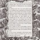 Text über Enkidu, seine Erschaffung und Wildheit. Illustration: Tiere in einer Landschaft, dominierende kreisförmige Sonne.