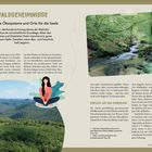 **WALDGEHEIMNISSE**

Komplexe Ökosysteme und Orte für die Seele

Ein Foto eines Waldes mit Fluss auf der rechten Seite.