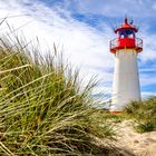 Leider gibt es keine sichtbaren Texte auf dem Bild. Hohe Gräser und ein weißer Leuchtturm mit roter Spitze bei blauem Himmel.