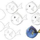 Eine Anleitung zum Zeichnen eines Fisches in sechs Schritten, zuletzt farbiges Fischbild in Blau und Gelb.