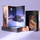 Buchcover mit Titel "When Shadows Darken the Sun" von Nina Schilling. Illustration: Paar tanzt unter Sternenhimmel.