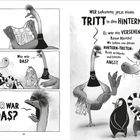 Links: Ein Vogel hält Kleidung und fragt "Wer war DAS?". Rechts: Der Vogel spricht mit Zebra und Pinguin über "ANGST".