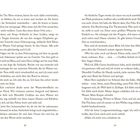 Seitenzahlen: 38 und 39. Text erzählt von einer spannenden, dramatischen Szene am Meer, Entscheidungen und Erinnerungen.