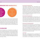 Hautprobleme und Haarausfall: Typische Symptome sind Akne, fettige Haut, Haarverlust. Beteiligte Hormone: Sexualhormone, Cortisol.