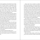 Seiten mit Fließtext aus einem Buch. Unten links die Seitenzahl 12, unten rechts die Seitenzahl 13.