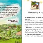 "Reiterhof Ponyglück" und "Überraschung im Regen". Links Illustration eines idyllischen Tals mit einem Reiterhof. Rechts Text.