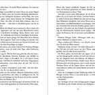 Seite 16: Dialog über Wasser aufsetzen, Beziehung zwischen Patroklos und Achilles. Seite 17: Diskussion über die Ilias.