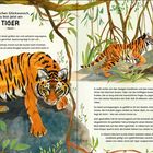 „Herzlichen Glückwunsch, du bist jetzt ein TIGER.“ Ein Tiger schleicht durch den Dschungel, Bäume und Blätter umgeben ihn. 