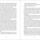 Seite 12-13. Eine Geschichte über Familie und Freundschaft. Dialog zwischen Luanne und Erzähler. Emotionale und nachdenkliche Szenen.