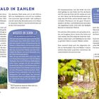 **Unser Wald in Zahlen:** In keinem anderen Land der EU steht so viel Holz. Deutsche Waldfäche: 11,5 Mio. Hektar. Hauptbaumarten: Kiefer 22%, Fichte 21%. Der älteste Baum ist 1.200 Jahre alt und in Schenklengsfeld. Links unten Text: Was ist Wald? – Ein Überblick. Rechts Bild: Baum mit Pilzen.