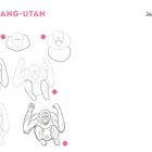 Schritt-für-Schritt-Anleitung zum Zeichnen eines Orang-Utans in 7 Phasen. Text: "ORANG-UTAN", "Jetzt bist du dran!"