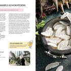 SEIDENSCHNABELS SCHOKOFEDERN. Anleitung für Schokofedern, Bild mit weißen Federn und Harry Potter Kreatur.