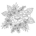 Blumenillustration mit detailreichen Blüten und Blättern, darunter Gänseblümchen und exotische Blätter mit Mustern.