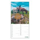 Kalenderblatt September mit Spruch: "Nimm die Welt ungezwungen und leicht, und möge sie es mit dir ebenso tun." Drei Esel auf Felsen.