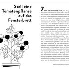 "Stell eine Tomatenpflanze auf das Fensterbrett." Daneben eine Illustration einer Tomatenpflanze im Topf. Text erläutert Nutzen.