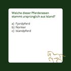 Quizfrage: "Welche dieser Pferderassen stammt ursprünglich aus Island?" Optionen: a) Fjordpferd, b) Noriker, c) Islandpferd. Unten rechts kleine Pferdeillustration.