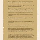 "My hero ingredients are:" gefolgt von einer Aufzählung gesunder Lebensmittel und deren Vorteile. Enthält Omega-3, Antioxidantien, Phytoöstrogene, Cholin, Phosphatidylcholin, B-Vitamine, Phenylalanin, Heilpilze, Tees.