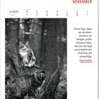 „Guten Tag“, sagte der alte Mann. Kalenderbild von November zeigt zwei Katzen im Wald, sitzend auf einem Baumstumpf.