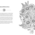 "Gänseblümchen" – Informationstext über die Geschichte, Symbolik und Bedeutung. Rechts eine detaillierte Blumenillustration.