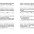 Seitenzahlen unten: 122 links, 123 rechts. Text erzählt von Quinn, Willow, Schattenmonster, Maus, Hektik und Flucht im Wintergarten.