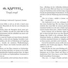 16. KAPITEL - Tropf, tropf. In der Hohenburger Anderswelt, Gegenwart, Sommer. Text über Jeremy und Xandra in einer mystischen Welt. Seitenzahlen 260, 261.