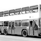 Text: „SONDERWAGEN“. Ein doppelstöckiger Bus mit markantem, nostalgischem Design steht am Straßenrand.