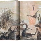 Kapitel I. Illustration mit Dinosauriern und üppiger Pflanzenwelt, darunter fliegender Flugsaurier, Echsen und Urzeitlandschaft.