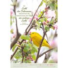 Text: Im Licht der Ostersonne bekommen die Geheimnisse der Erde ein anderes Licht. Friedrich von Bodelschwingh.  
Ein gelber Vogel sitzt auf einem Ast mit rosa Blüten. Darunter ein Kalender für März.