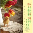 Kalender für März mit Texten über Neubeginn, Tulpen, ein Küken auf Spitze. Zitate motivieren zum Aufstehen aus Mutlosigkeit.