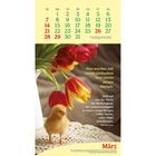 Kalender für März mit Zitat von Phil Bosmans, Tulpen und einem Küken.