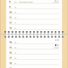 Mär. Unbekanntes Objekt beim Kontrollgang über Frauchens Schreibtisch. Prädikat: bestes Katzenspielzeug! Kalenderseite März.