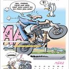 Werner ist unzufrieden mit Fabrikaten, baut Motoren selbst. Ingo Igel bekommt Motorrad geburtstagsgeschenkt, schreit entsetzt.