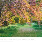 Text: März. 

Ein Garten mit einem blühenden Baum und einer weißen Bank im Hintergrund.