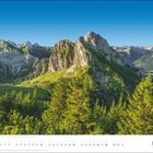 Kalender: März. Landschaft mit grünen Bergen und klarem Himmel. Vordergrund voller Tannen.