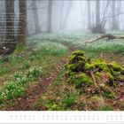 Gedichtzeilen von Lou Andreas-Salomé. Wald mit Nebel, Schneeglöckchen, moosbewachsene Äste. Unten Kalenderdaten für März.