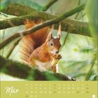 "Mär", Kalendertage vom 1. bis 31. Ein Eichhörnchen hält eine Nuss zwischen grünen Ästen.