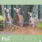 Text "Mär" mit Kalendarium für März. Drei Rehe im Wald, nach vorn blickend, grüne Umgebung.