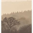 März, Kalender mit Datumsangaben. Silhouetten von Bäumen in nebliger Landschaft, weiche Erdtöne, ruhige Atmosphäre.